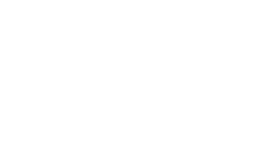 Rehabilitace psů